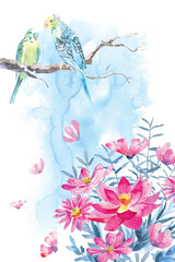 Watercolor painting of bouquets and budgies with watercolors texture on the background. 