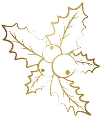 Fototapeta premium Christmas berry. Png on transparent background