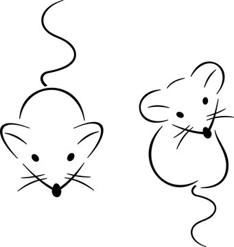 Cute mice, small rodents on a white background, outline