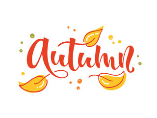 Autumn handwritten text and falling leaves isolated on white background. Vector illustration as poster, postcard, greeting card, invitation. Modern brush calligraphy, hand lettering. Season's greeting