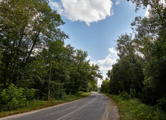 Asphalt winding country road near the forest. A bend road at rural Europe