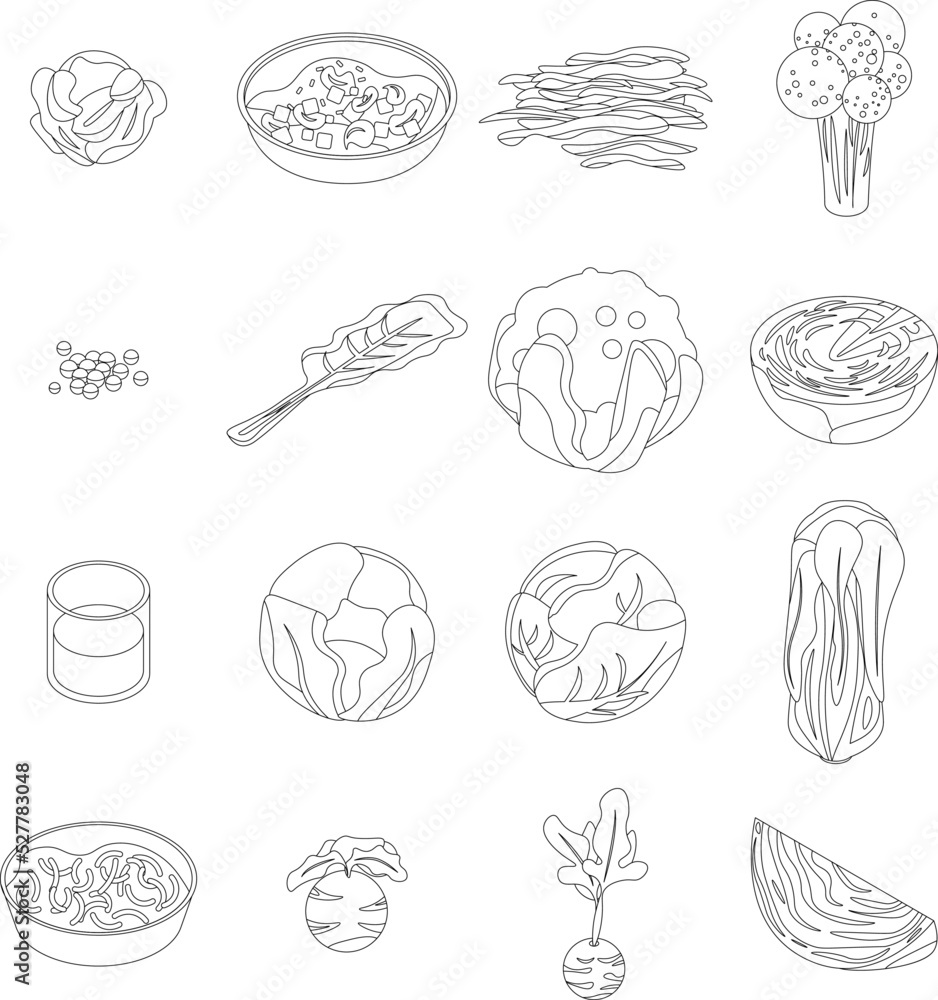 Poster cabbage icons set. isometric set of cabbage vector icons outline thin lne isolated on white