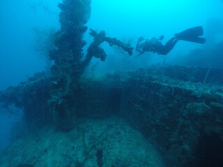 Obraz premium Diving on the ship wrecks of the Palau archipelago. These ship wrecks were from Japanese Navy at WW2.