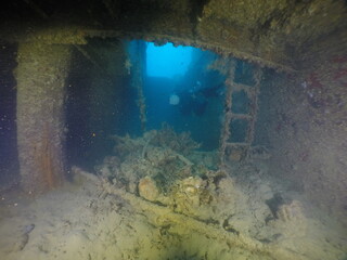 Diving on the ship wrecks of the Palau archipelago. These ship wrecks were from Japanese Navy at...