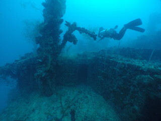 Obraz premium Diving on the ship wrecks of the Palau archipelago. These ship wrecks were from Japanese Navy at WW2.