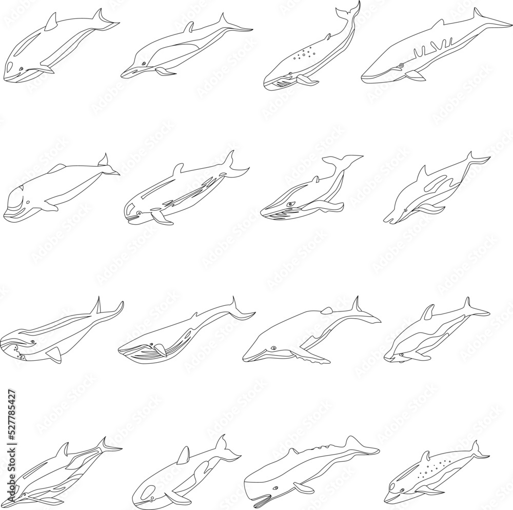 Canvas Prints whale icons set. isometric set of whale vector icons outline thin lne isolated on white