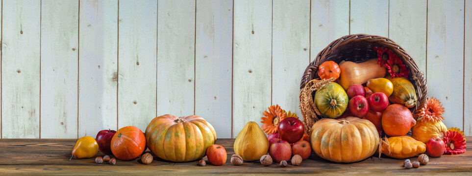 Thanksgiving day background with empty copy space. Pumpkin harvest in wicker basket. Squash, orange vegetable autumn fruit, apples, and nuts on a wooden table. Halloween decoration fall design
