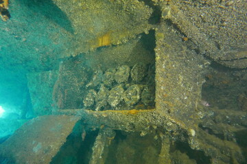 Diving on the ship wrecks of the Palau archipelago. These ship wrecks were from Japanese Navy at WW2.