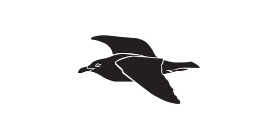 Obraz premium seagull logo icon designs vector