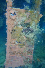 Diving on the ship wrecks of the Palau archipelago. These ship wrecks were from Japanese Navy at WW2.