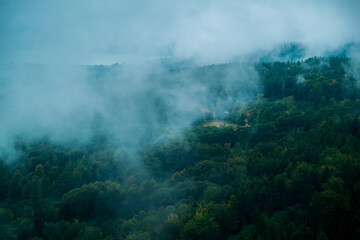 trees grow on a stone mountain. fog in the mountains .rock with trees .fog in the forest.