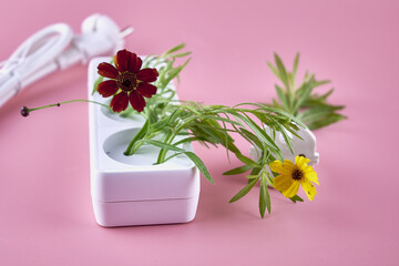 electric extension cord with plug inserted into it from which grass and flowers grow concept ecology green energy