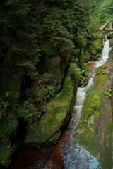 waterfall in the forest. mountain water. wildlife . mountain river turning into a waterfall.