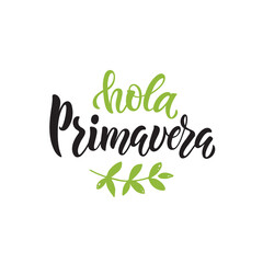 Hola Primavera (Hello Spring) handwritten text in Spanish or Brazilian Portuguese isolated on white background. Trendy script lettering design. Modern brush calligraphy. Vector illustration