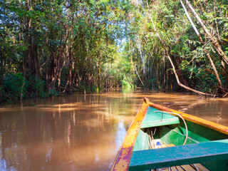 Amazonia