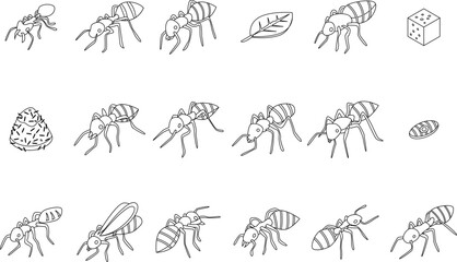Ant icons set. Isometric set of ant vector icons outline thin lne isolated on white