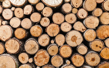Stacked wooden logs, firewood background texture