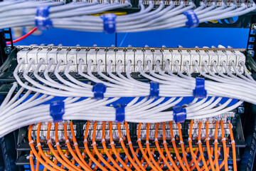 Information Technology Computer Network, Telecommunication Ethernet Cables Connected to Internet Switch.