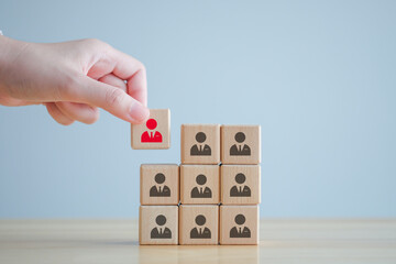 Human resources management and recruitment business hiring concept, corporate hierarchy, recruiter...