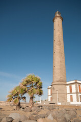 Maspalomas Lighthouse next to two desert fan palms Washingtonia filifera. Maspalomas. San Bartolome de Tirajana. Gran Canaria. Canary Islands. Spain.