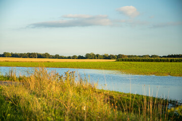 Fototapeta premium Krajobraz