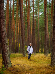 Fototapeta premium one person wearing raincoat standing alone in a deep moody pine forest in a rainy autumn season