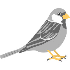 Sparrow Vector Icon