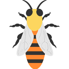 Honey Bee Vector Icon