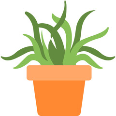 Aloe Vera Vector Icon