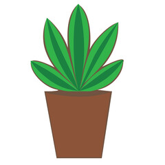 aloe vera in a pot drawing by hand