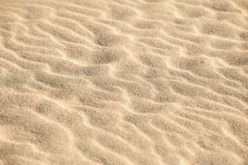 Fototapeta na wymiar Sand on the beach as a background. Close-up sand texture. Summer sunlight. Top view.