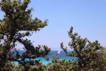 Saleccia Beach