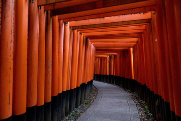 Fushimi inari 