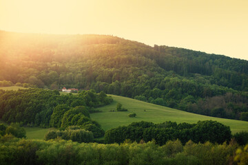 Green forested hill lit by evening sun.Spring landscape.