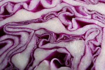 Cut red cabbage as background, closeup view