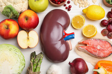 Flat lay composition with kidney model and different products on white wooden table