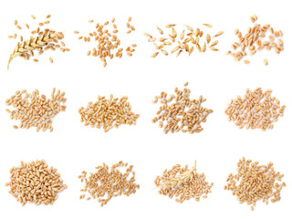 Set with heaps of wheat grains on white background, top view