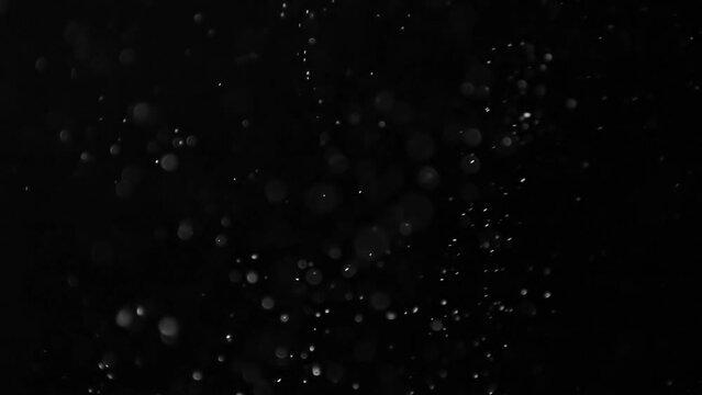 White swirling dust particles flying on black background. Slow motion.