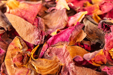 Dried rose petals for use as tea or in the cosmetic industry, background