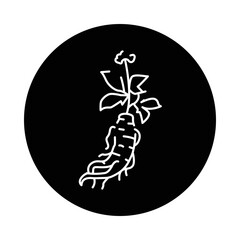 Ginseng plant color line icon. Pictogram for web page