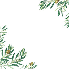 Olive tree corners. Green olives. Vegan food illustration. Hand drawn watercolor botanical illustration isolated on white background. Can be used for cards, logos and food design.