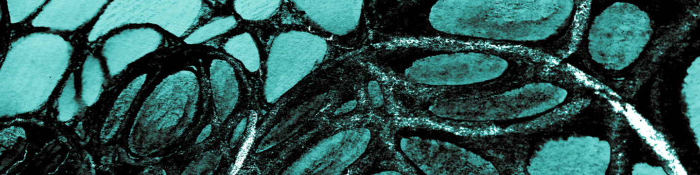 Dividing Cell Cancer. Sage Germs 3d. Seafoam T Cells Lymphocytes. Coli Bacteria. Lime Microbe. Human Cell Bacteria. Black Virus Bacteria. Flu Character.