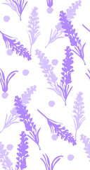 Lavender flowers purple on white background. Seamless pattern. Vector illustration. Vintage style texture.