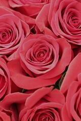 red roses bouquet