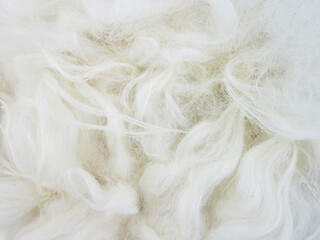 close up of white wool