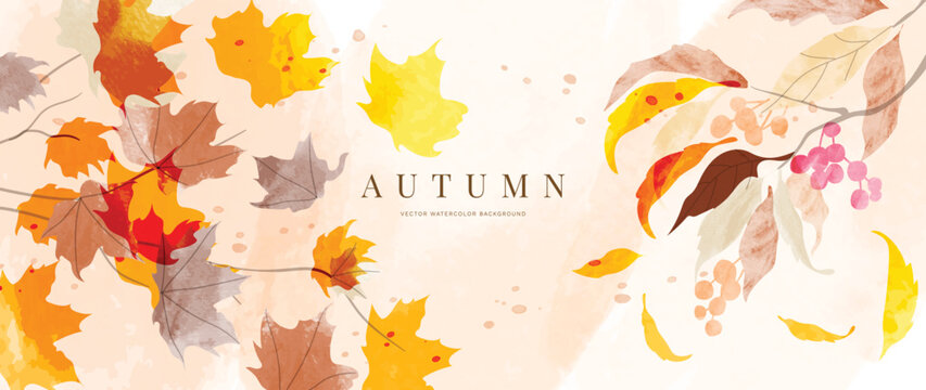 Autumn foliage in watercolor vector background. Abstract wallpaper with maple leaves, line art, leaf, berry. Hand drawn botanical in fall season illustration suitable for fabric, prints, cover.