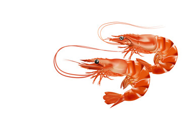 Red boiled shrimp or tiger prawns isolated on white background as a package design element.