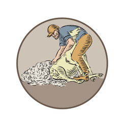 Farmworker Shearing Sheep Circle Etching