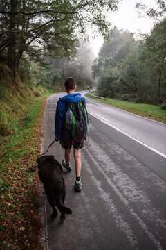 Woman walking with dog in nature