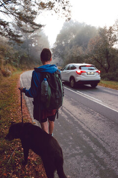 Woman walking with dog in nature